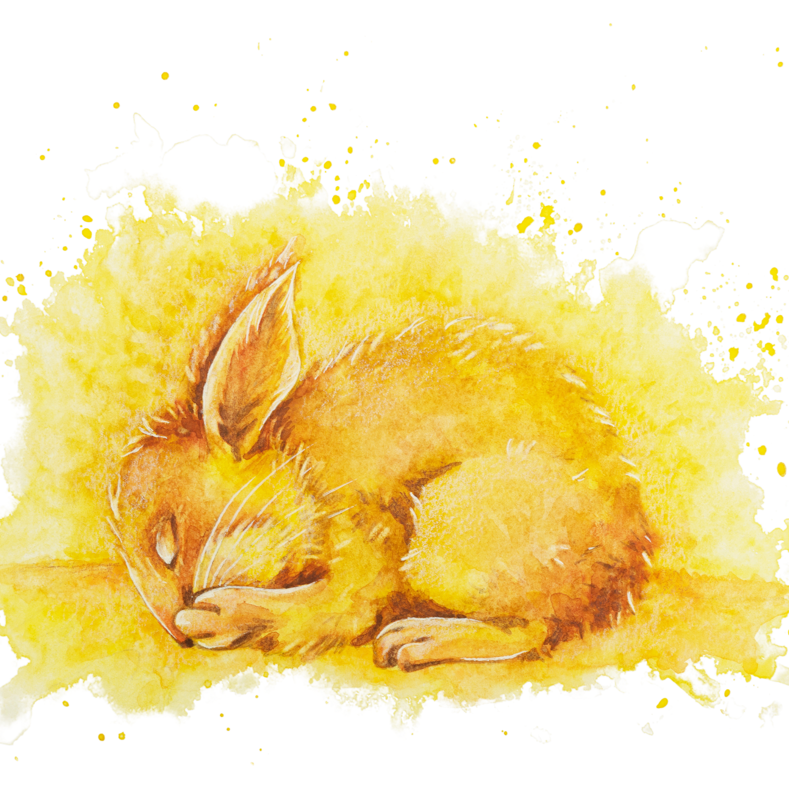 Tėčio Pasakos – Ievosjura.lt